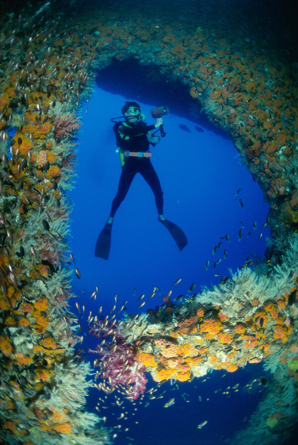 海底世界圖片