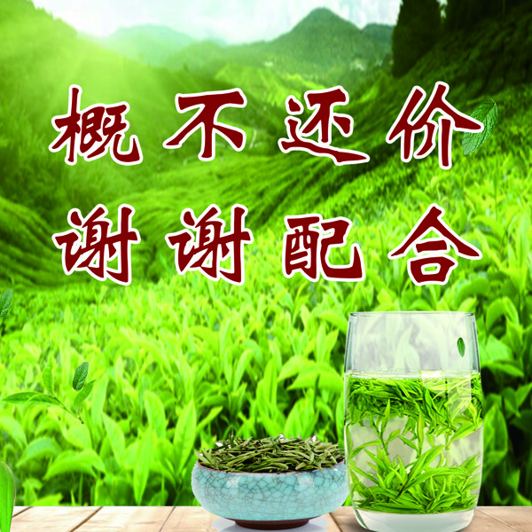 茶叶海报绿茶