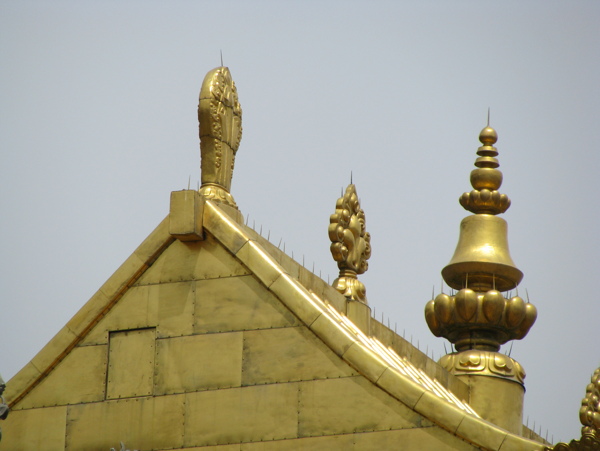 塔尔寺金顶图片