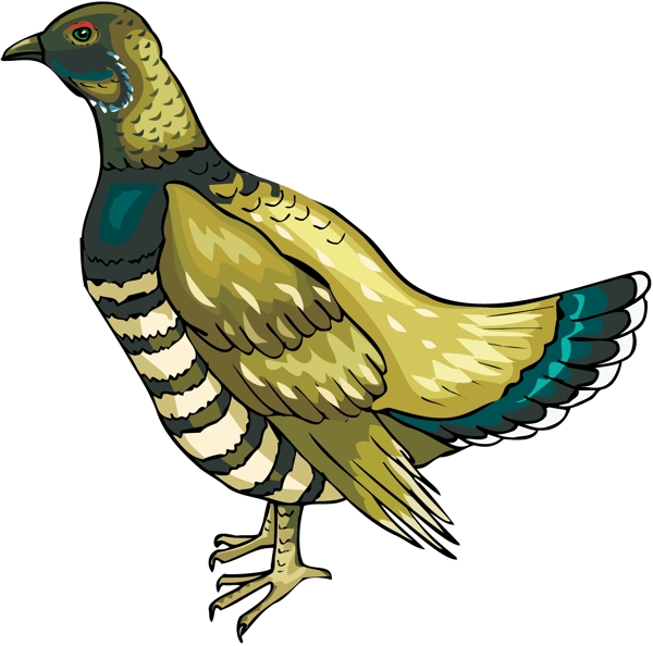 各種鳥類鳥動物矢量素材EPS格式0998