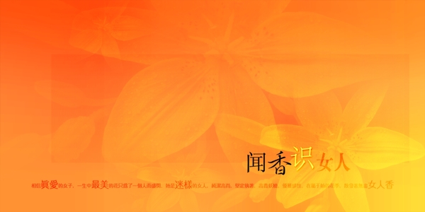 影樓婚紗模板