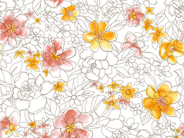 高清花jpeg圖片