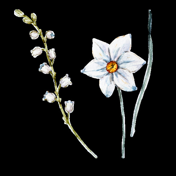 創(chuàng)意時尚花卉卡通透明素材
