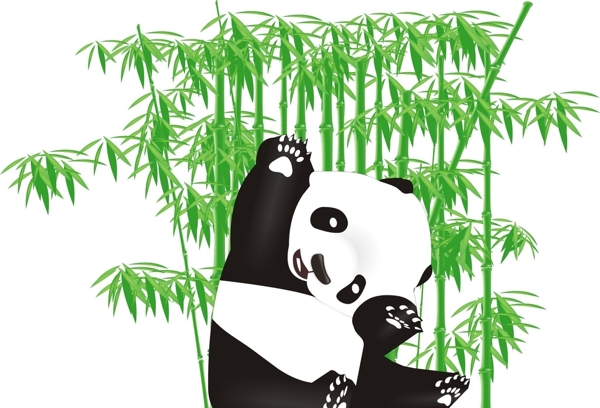 熊貓