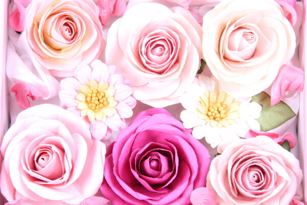 粉玫瑰花背景