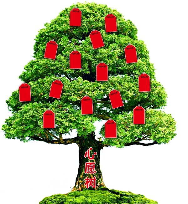 心愿樹圖片