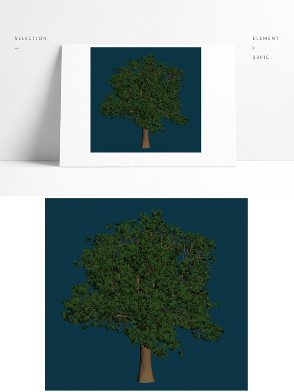 户外景观树木模型