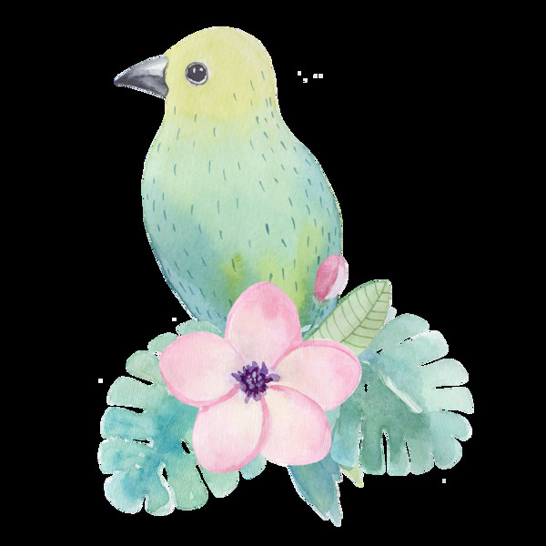 绿色小鸟透明装饰图案