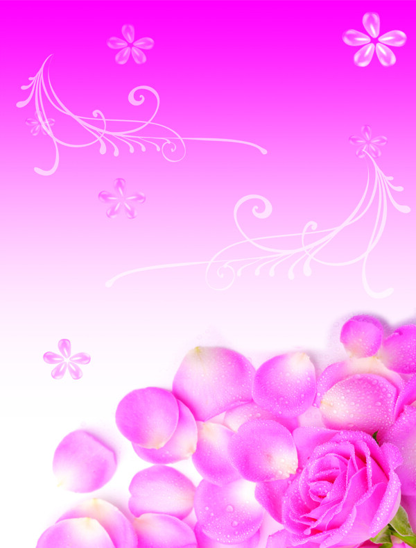 玫瑰花