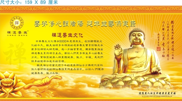 禪道養(yǎng)生