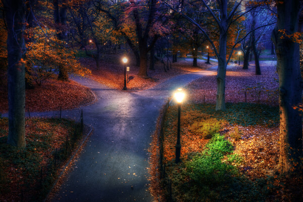 公園夜景圖片