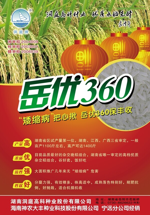 岳優(yōu)360稻種圖片