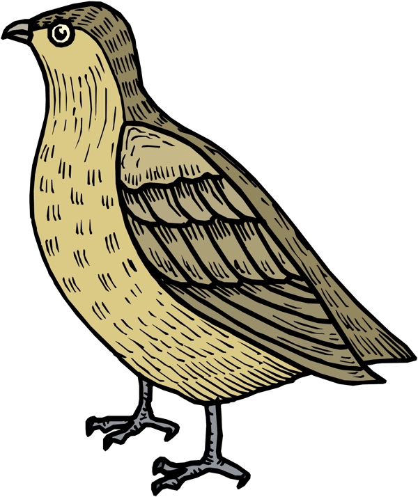 各種鳥類鳥動物矢量素材EPS格式0090