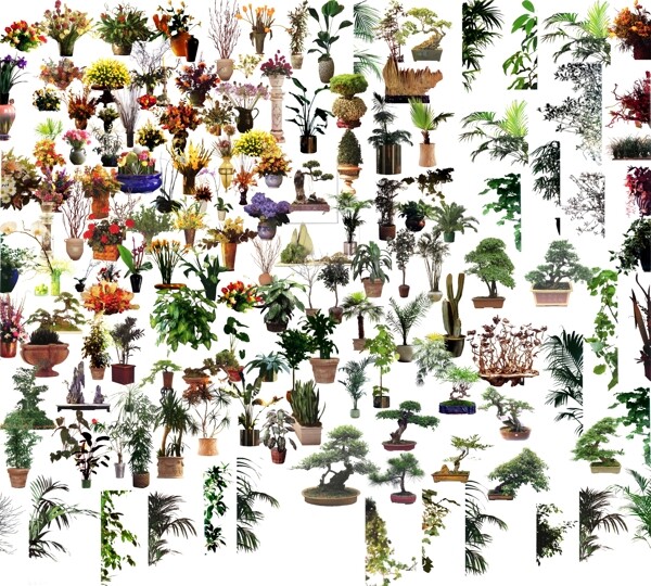 后期花素材