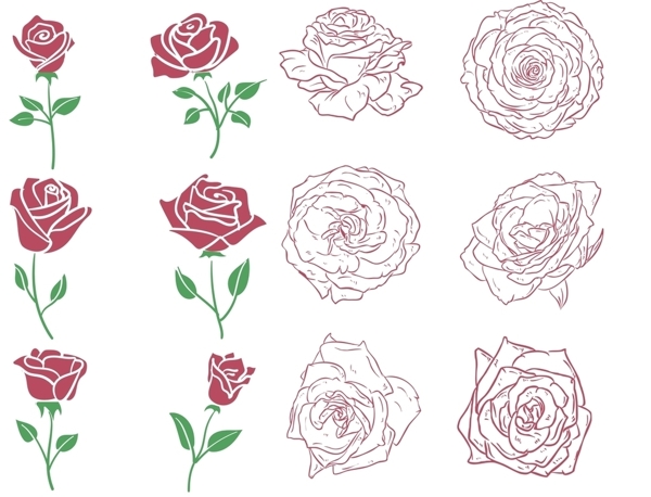 玫瑰花线条图片