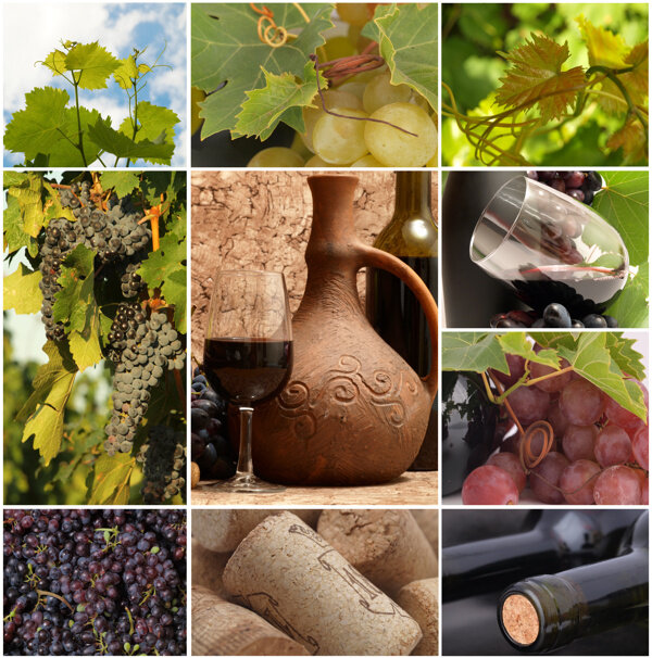 葡萄酒拼图图片