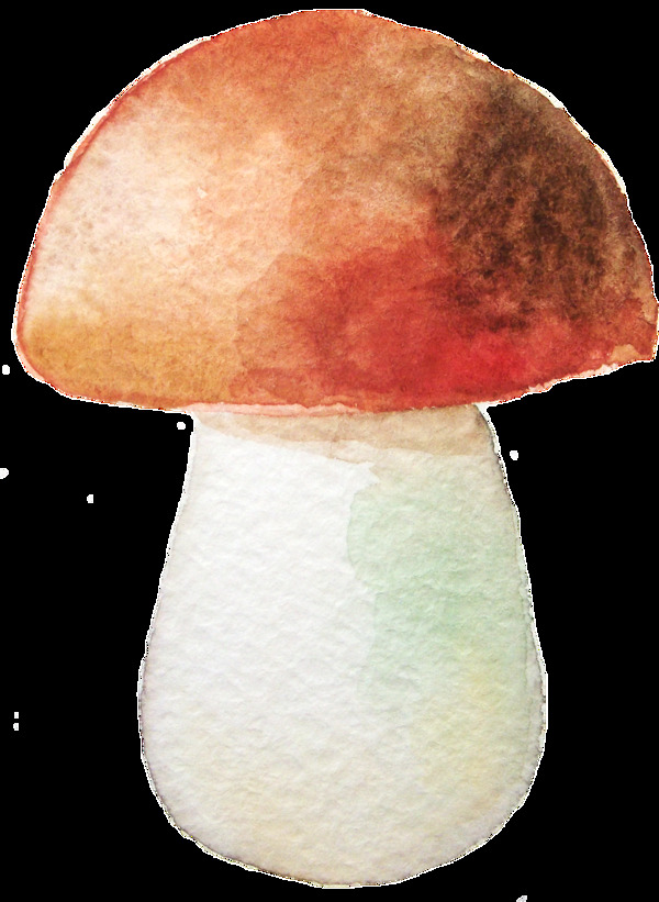手绘彩色蘑菇透明素材合集