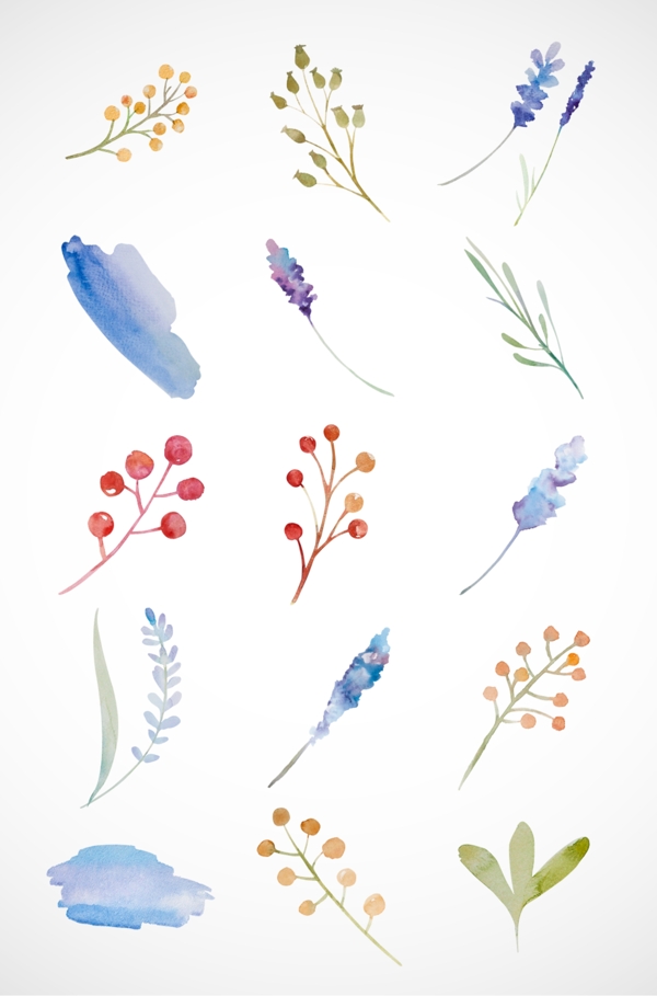 花卉素材