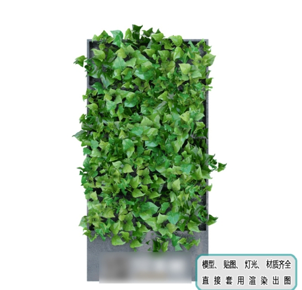 植物墙绿化生态