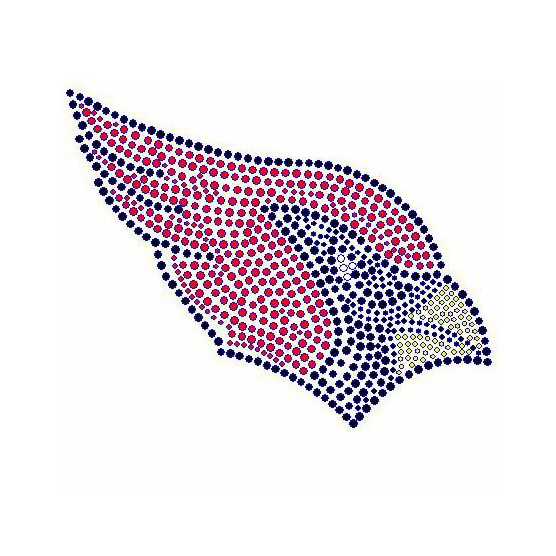 燙鉆動(dòng)物鳥(niǎo)類鳥(niǎo)頭免費(fèi)素材