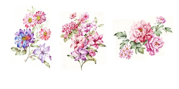 清新浪漫的手绘水彩花卉
