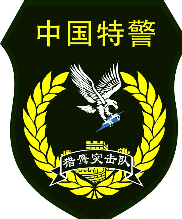 中国武警特警臂章标识