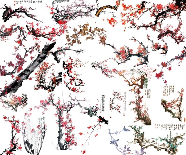 樹(shù)枝圖片