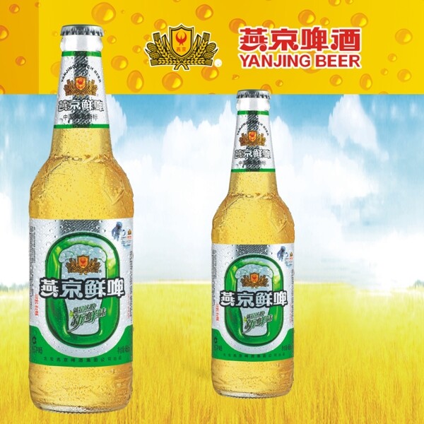 燕京啤酒圖片