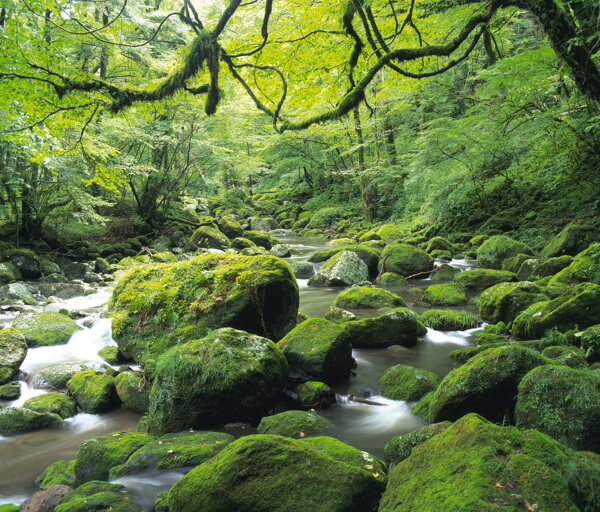 瀑布流水圖片