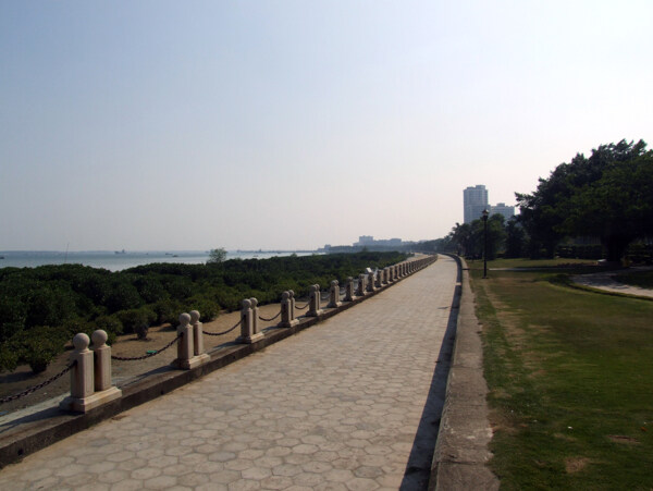湛江海景图片