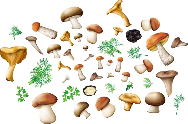 蘑菇植物失量卡通自然