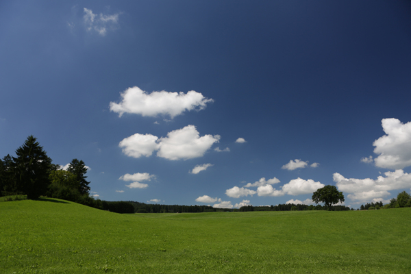 草地云地平线巴伐利亚景