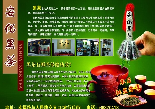 安化黑茶宣傳單圖片