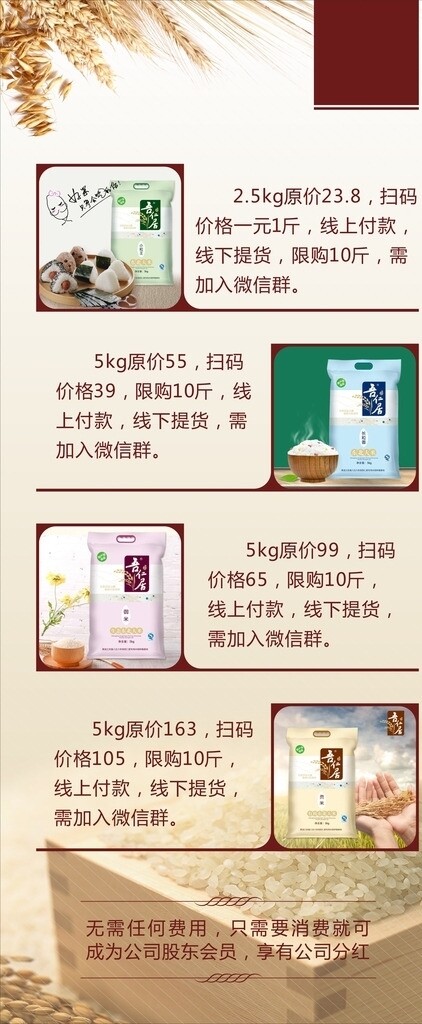 活動展架