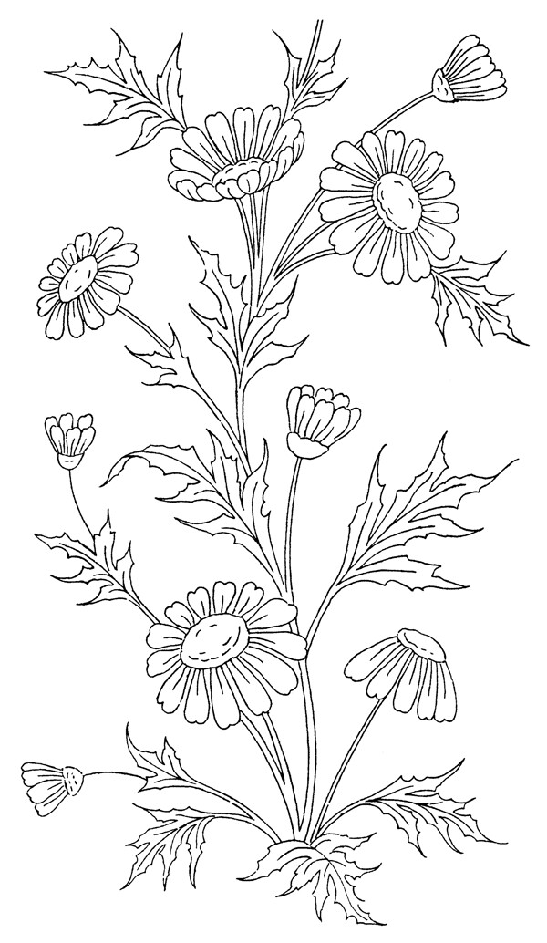 花類線描矢植物量圖位圖