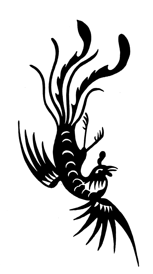 飛翔的鳥