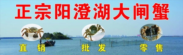 大閘蟹