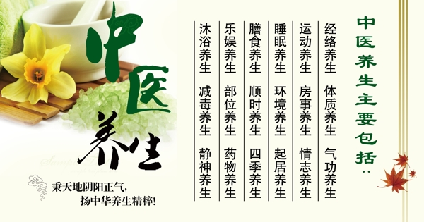 中醫(yī)養(yǎng)生圖片