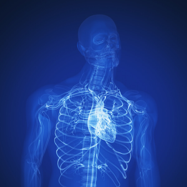 肺部X光透视图图片