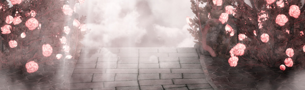 花朵云霧小路背景banner