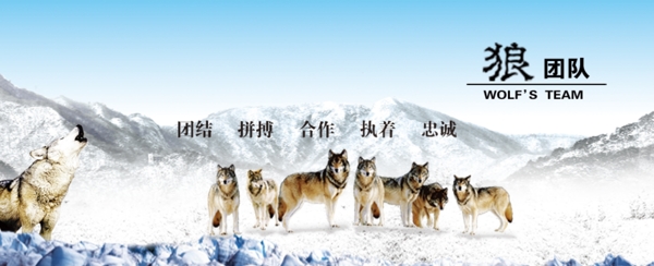 網(wǎng)頁banner狼文化