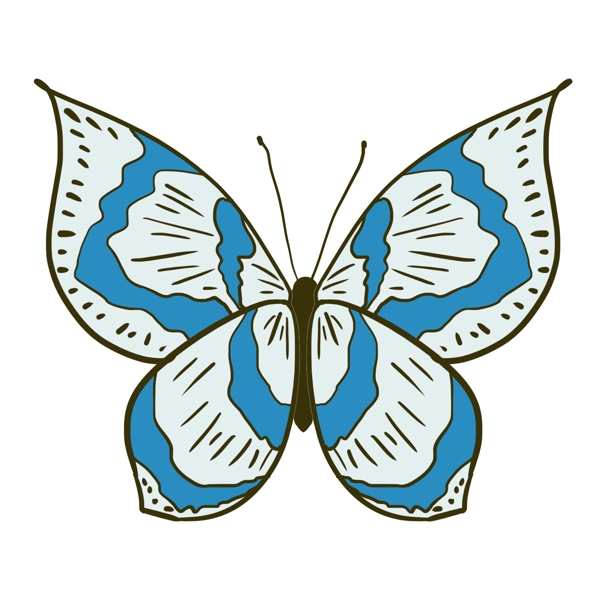动物昆虫蝴蝶蓝色
