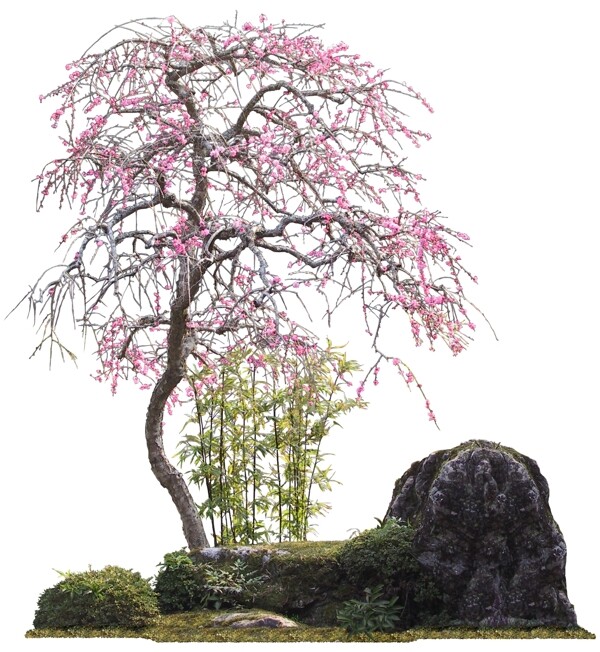 景觀設(shè)計(jì)圖片