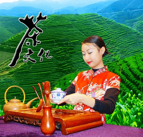 茶山圖片