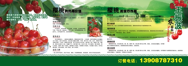 櫻桃展板圖片