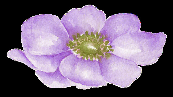 紫荆花蕊透明素材