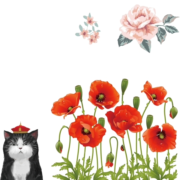 花貓