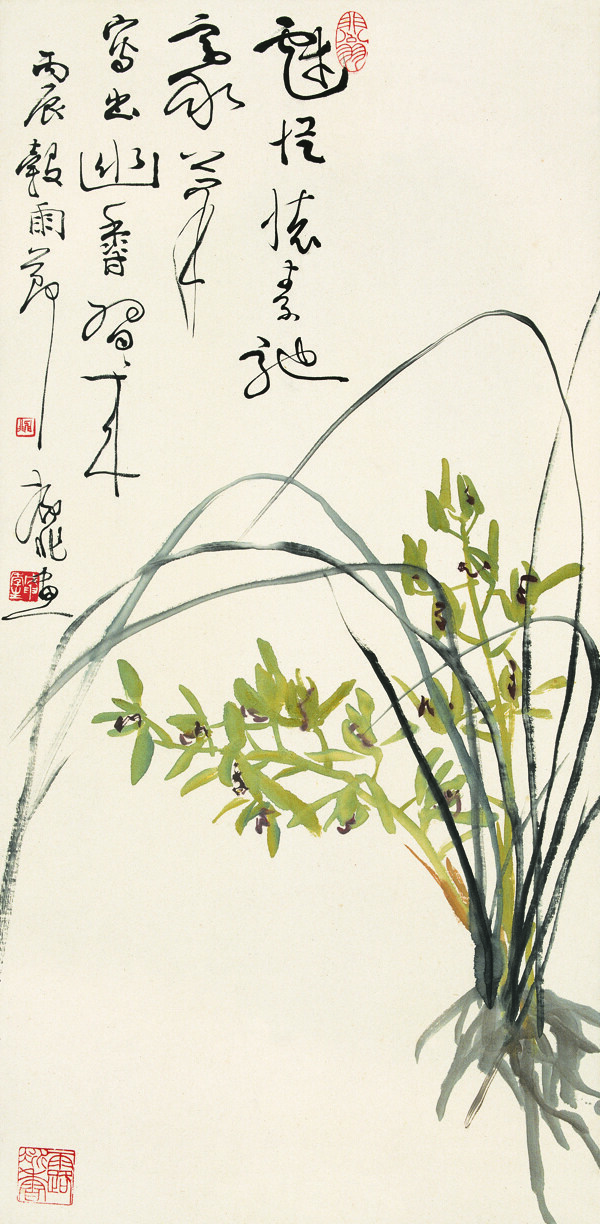 蘭花圖片