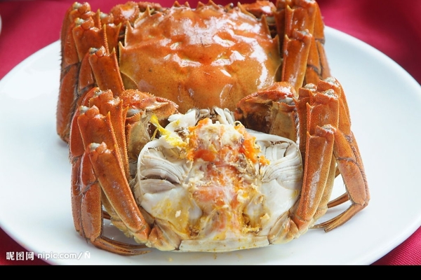 大閘蟹圖片