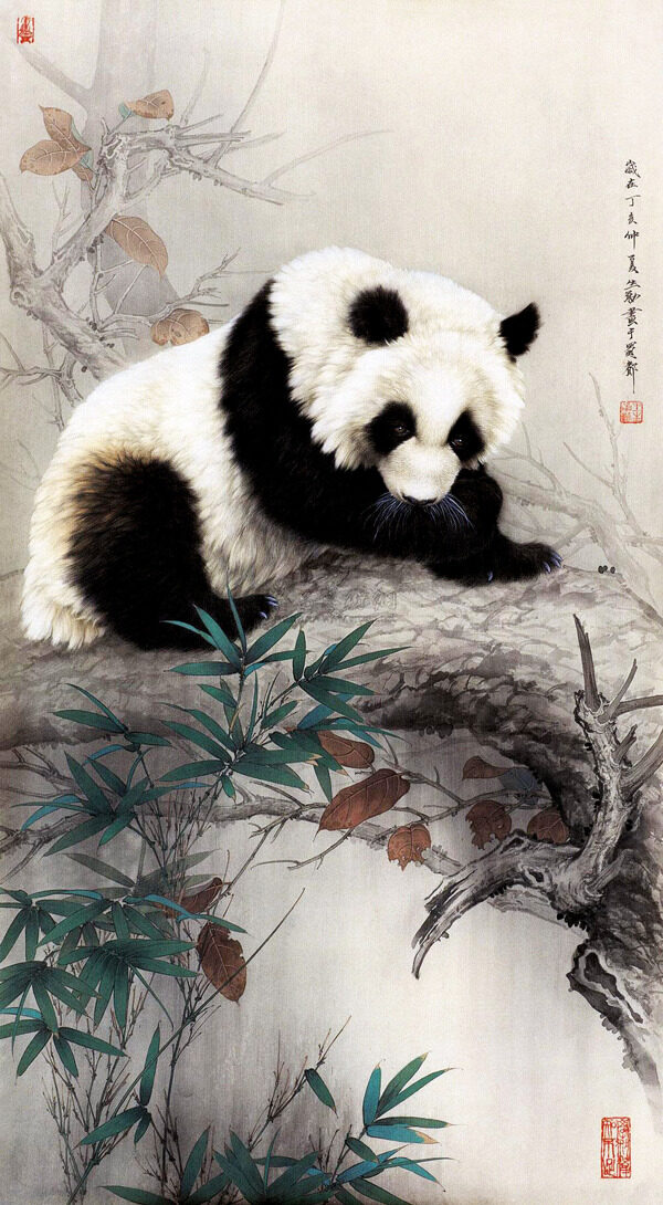 熊猫图图片